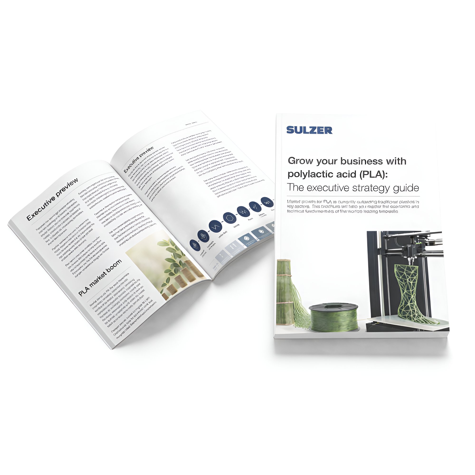 Biopolymer business guide
