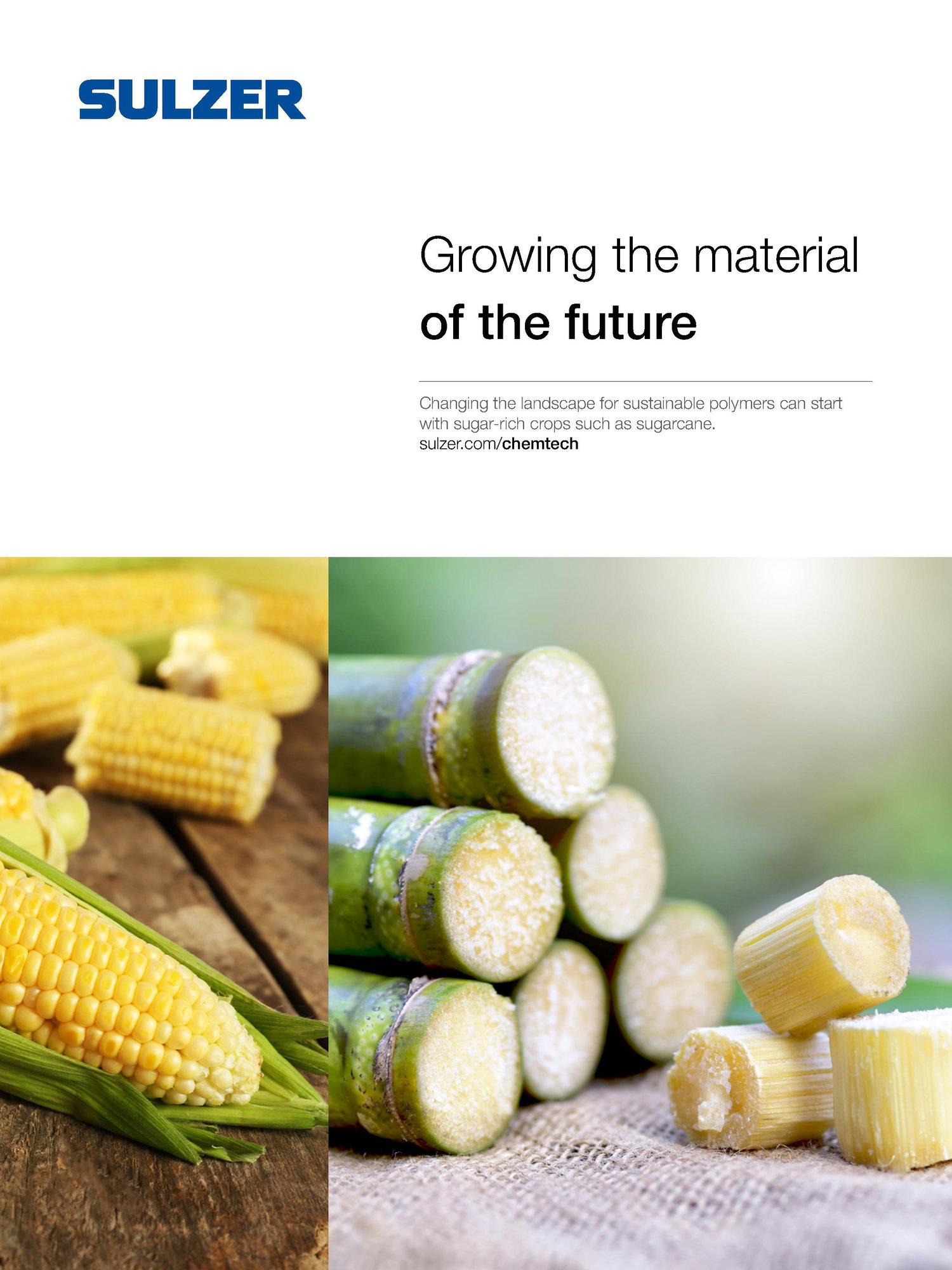 Sulzer PCL production technology for sustainable biodegradable polymers supporting a cleaner future