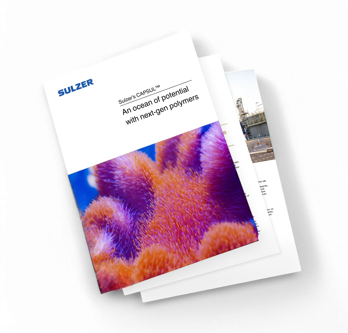 Leaflet PCL Campaigns-Photoroom Leaflet PCL Campaigns-Photoroom